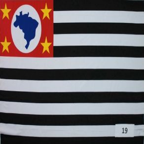 T.Pop Peach Bandeira Des-19 T.Pop Peach Bandeira Des-19