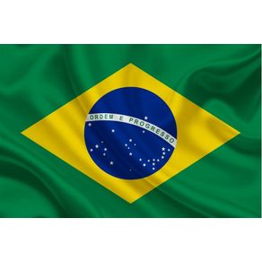Bandeira Brasil Cetim T.Cetim Bandeira Des-03