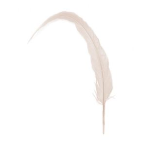 Rabo de Galo Off White C/2Und Rabo de Galo Off White C/2Und