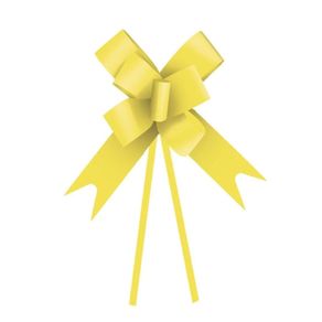 Laco 1003 30X48 Amarelo C/10Und