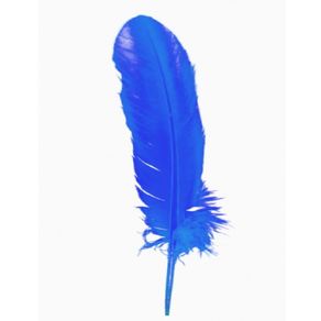 Pena Pato Royal C/3Und