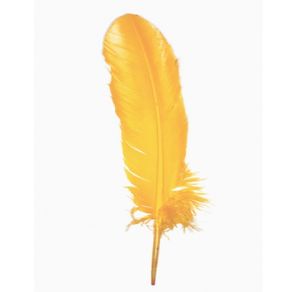 Pena Pato Amar.Ouro C/3Und