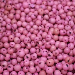 Semente de Acai Rosa A301 50G Semente de Acai Rosa A301 50G