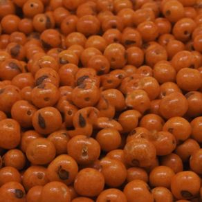 Semente de Acai Laranja A306 50G