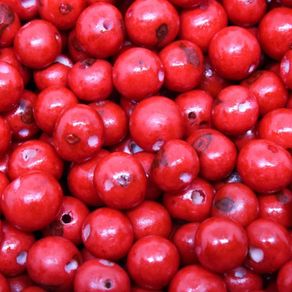 Semente de Acai Verm 201 50G