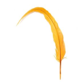 Rabo de Galo Ama.Ouro C/2Und Rabo de Galo Ama.Ouro C/2Und