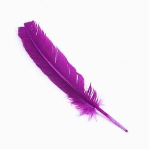 Pena Pato Violeta C/3Und