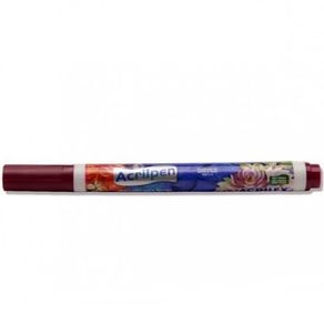 Caneta Acrilpen Vinho Cor 565