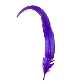 Rabo de Galo Roxo C/2Und Rabo de Galo Roxo C/2Und