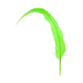 Rabo de Galo Vd.Limao C/2Und Rabo de Galo Vd.Limao C/2Und