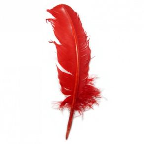 Pena Pato Vermelho C/3Und