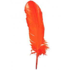 Pena Pato Laranja C/3Und