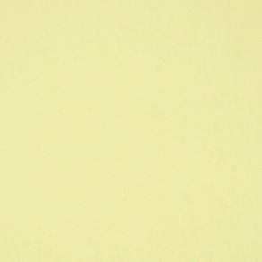 T.Oxford Liso Tw Am.Claro