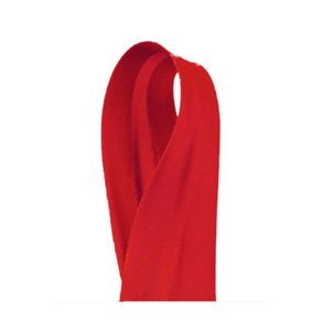 Vies de Cetim 25Mm Cor 08 Vermelho 20Mt