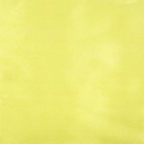 T.Charmouse Liso Am.Claro