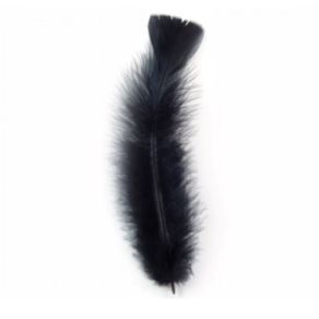 Pena de Galinha Pto C/10Und