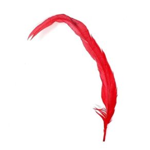 Rabo de Galo Vermelho C/2Und Rabo de Galo Vermelho C/2Und