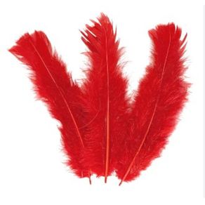 Pena de Galinha Vermelho C/10Und