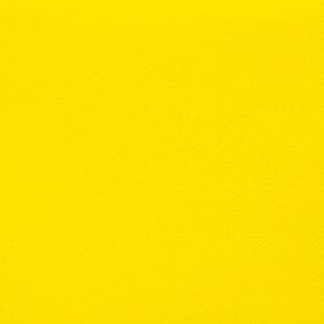 Feltro Sta Fe 50X70 Liso 81 Amar.Citrico