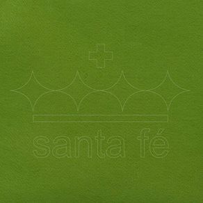 Feltro Sta Fe 50X70 Liso 06 Verde Musgo Cl.