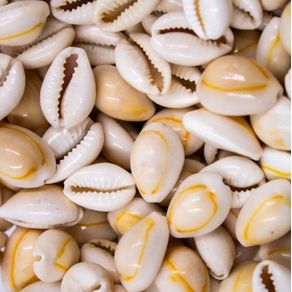 Buzios do Mar 19X13mm C/50G