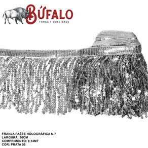 Franja de Paete 20Cm N 7 Holografica Prata 09 Franja de Paete 20Cm N 7 Holografica Prata 09