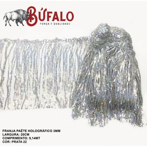 Franja de Paete 20Cm N 3 Holografica Prata 22
