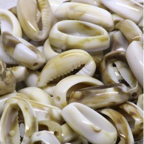 Buzios Aberto Inf 13X20mm C/50G