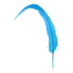 Rabo de Galo Turquesa C/2Und Rabo de Galo Turquesa C/2Und