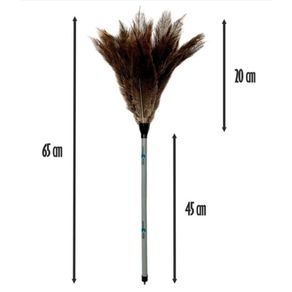 Espanador Eco Chdl 65Cm Und