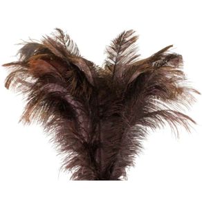 Pluma Chorona G Marrom Und Pluma Chorona G Marrom Und