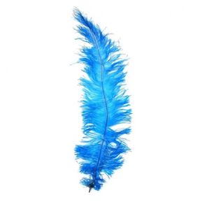 Plumas Flex Turquesa C/5Und